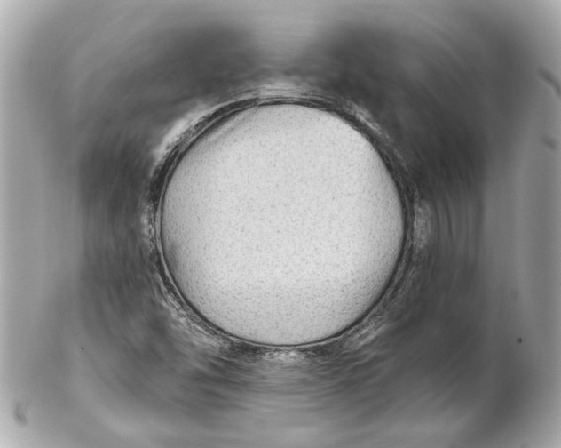 X0000102281454200808151916