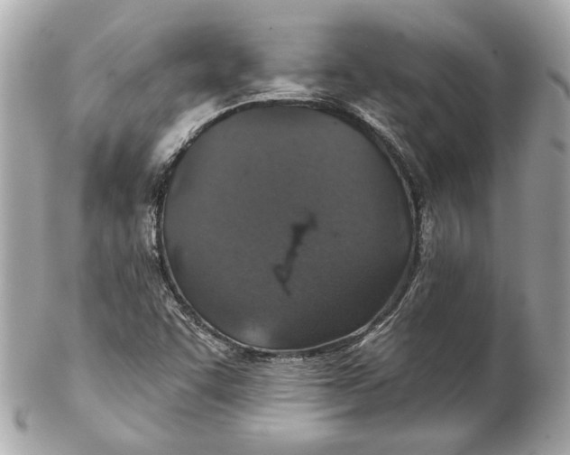 X0000102281455200808151916