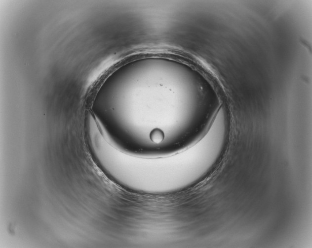 X0000102281456200808151916