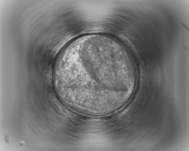 X0000102281457200808151916