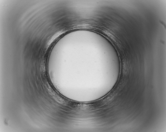 X0000102281458200808151916