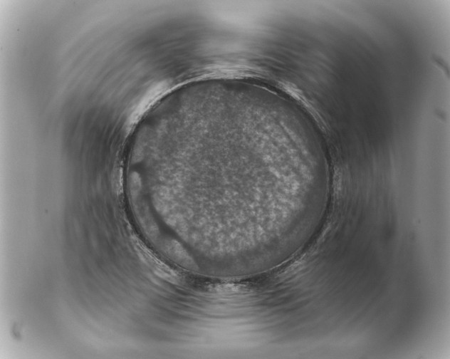 X0000102281459200808151916