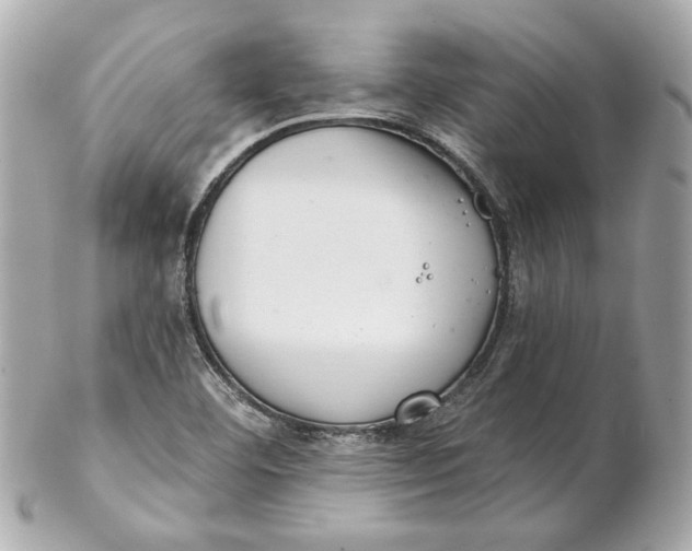 X0000102281460200808151916