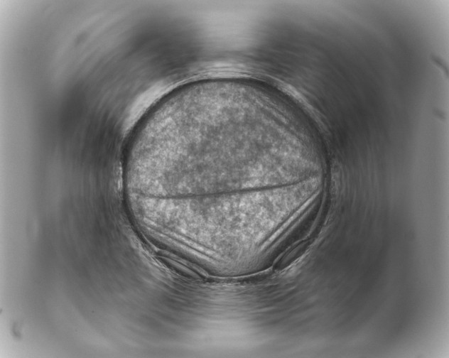 X0000102281461200808151916