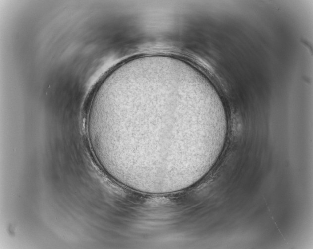 X0000102281462200808151916