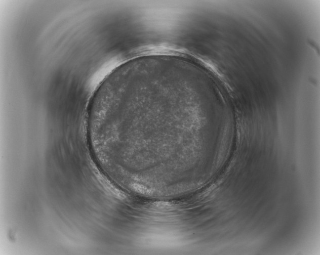 X0000102281463200808151916