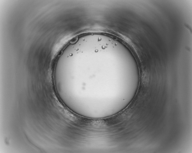 X0000102281464200808151916