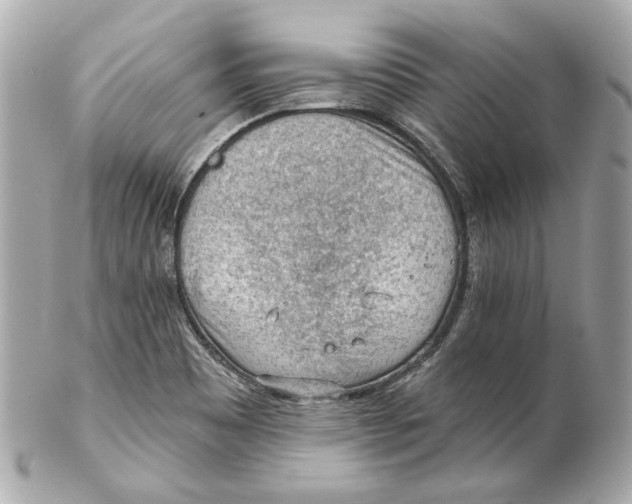 X0000102281465200808151916