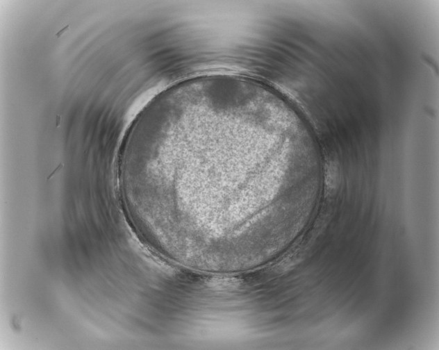 X0000102281466200808151916