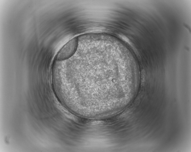 X0000102281467200808151916