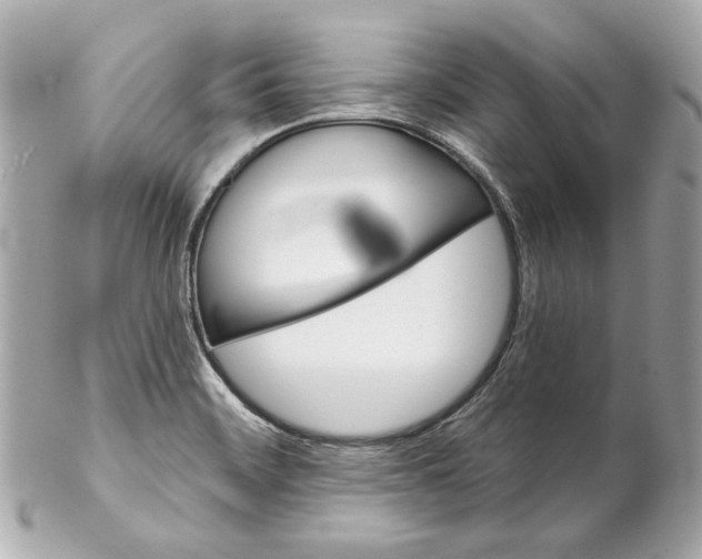 X0000102281468200808151916