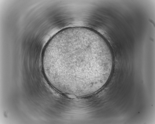 X0000102281469200808151916