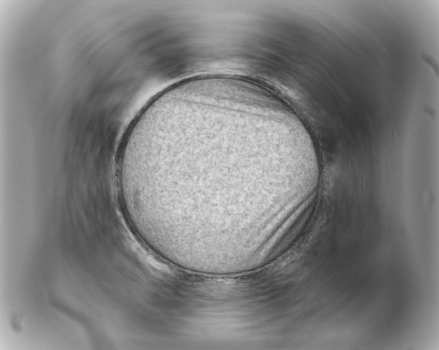 X0000102281470200808151916