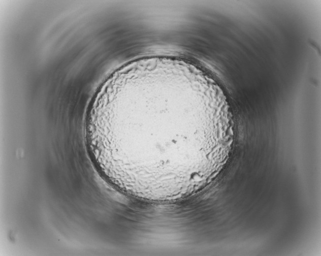 X0000102281471200808151916