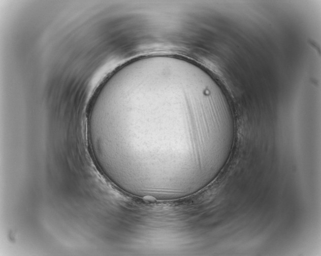 X0000102281472200808151916