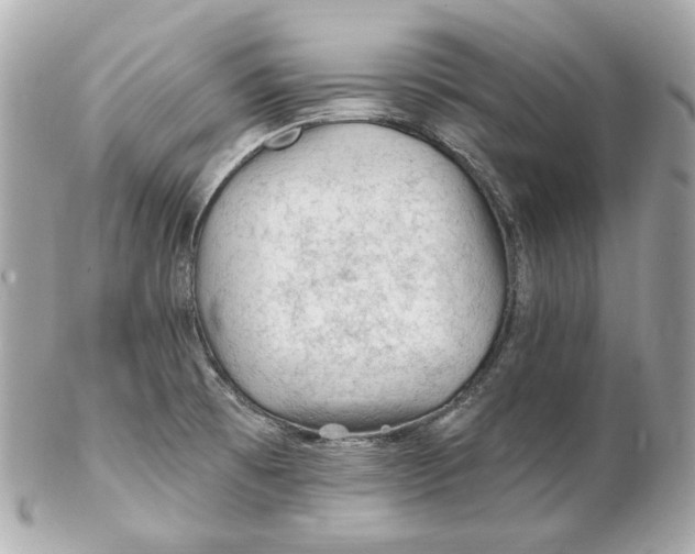 X0000102281473200808151916