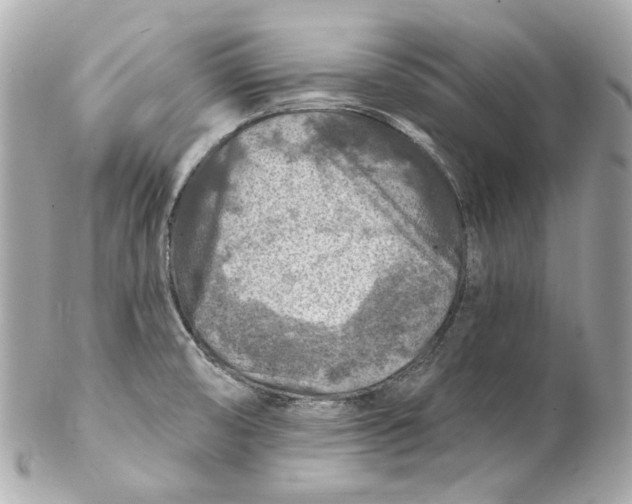 X0000102281474200808151916