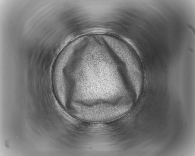 X0000102281475200808151916