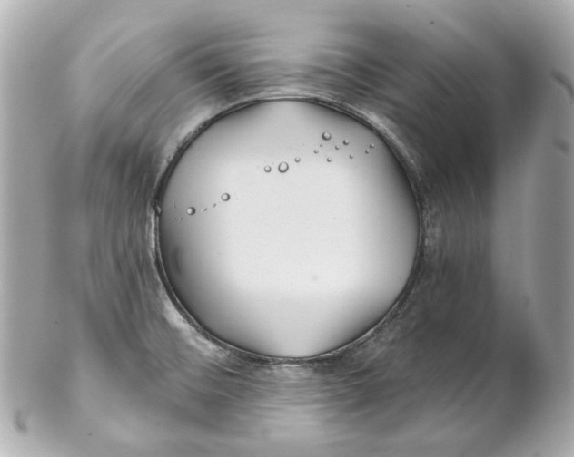 X0000102281476200808151916