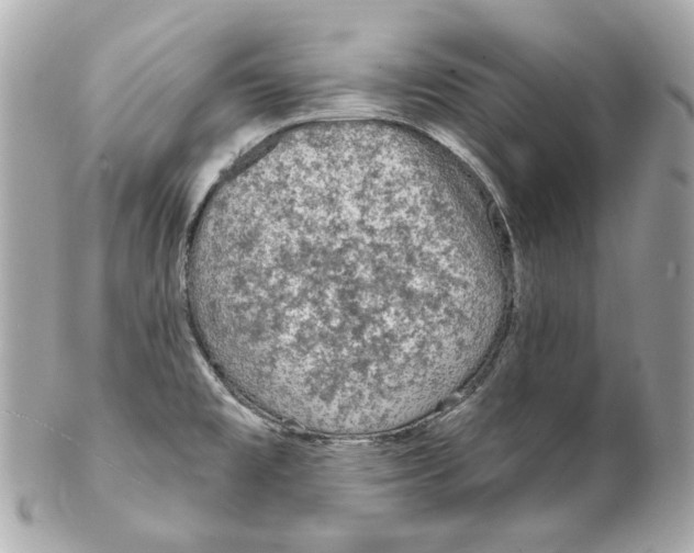 X0000102281477200808151916