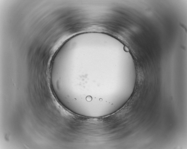 X0000102281478200808151916