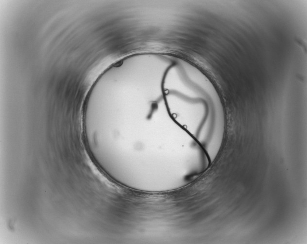 X0000102281479200808151916