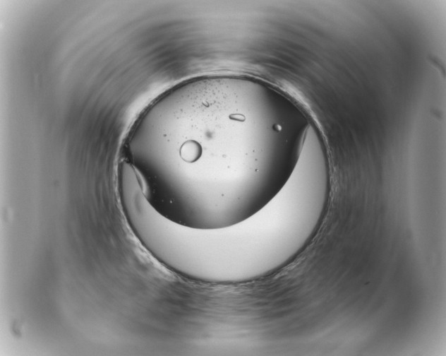 X0000102281480200808151916