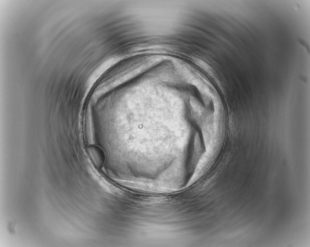 X0000102281482200808151916