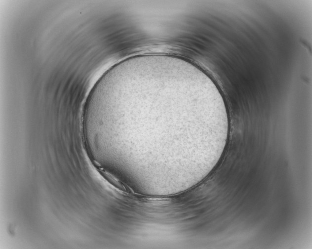 X0000102281483200808151916