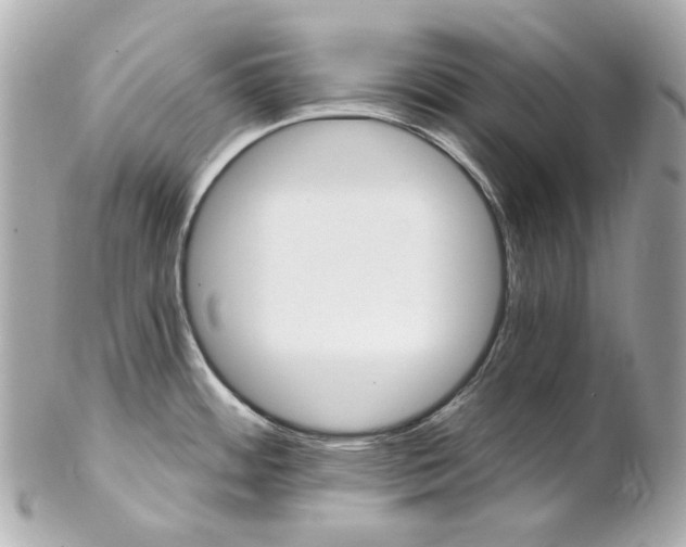 X0000102281484200808151916