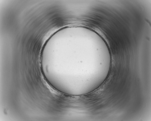 X0000102281485200808151916