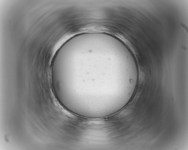 X0000102281486200808151916