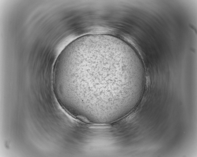 X0000102281487200808151916