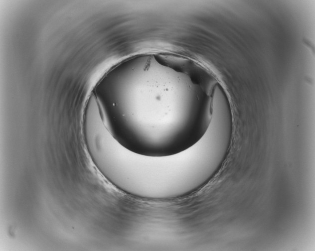 X0000102281488200808151916