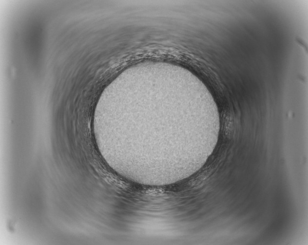 X0000102281489200808151915