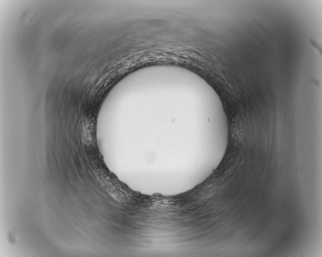 X0000102281490200808151915