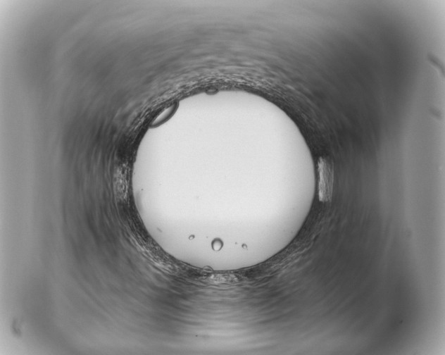 X0000102281491200808151915