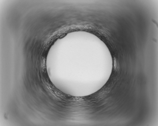 X0000102281492200808151915