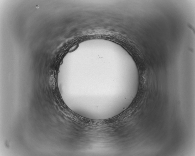 X0000102281493200808151915