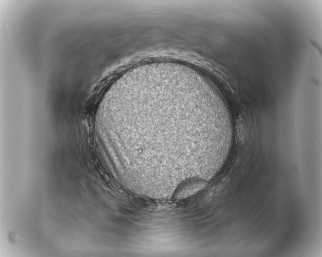 X0000102281494200808151915