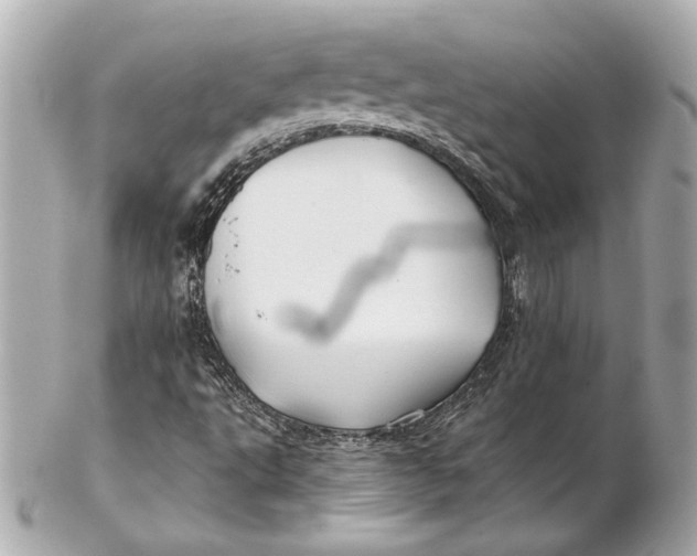 X0000102281495200808151915