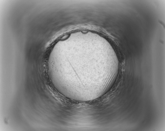 X0000102281496200808151915