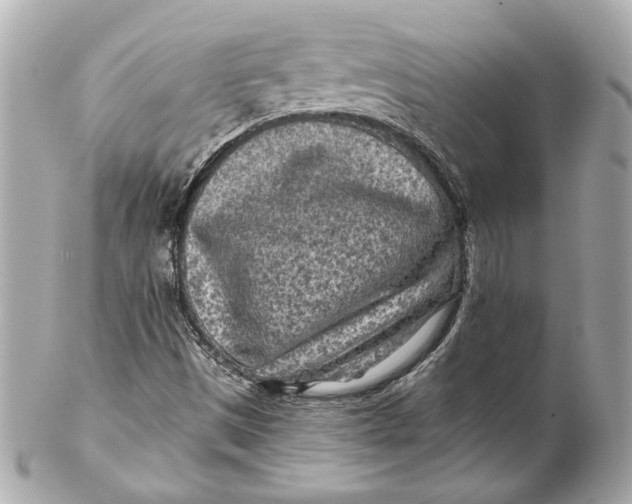 X0000102281497200808151915