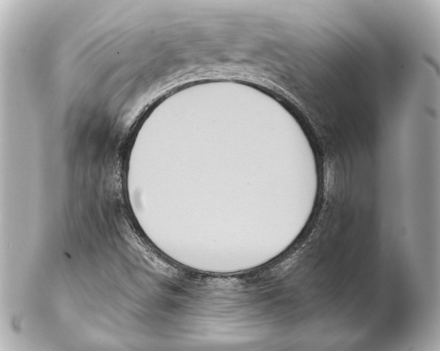 X0000102281498200808151915