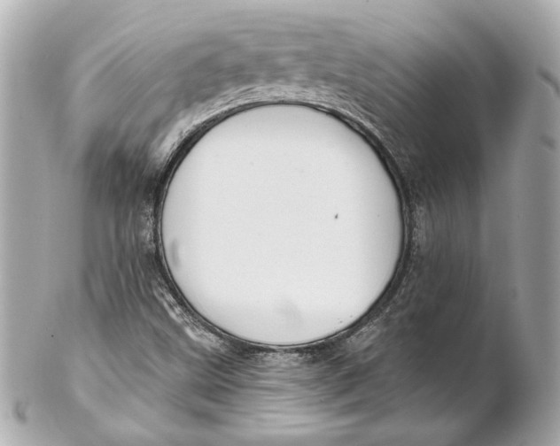 X0000102281499200808151915