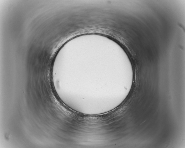 X0000102281500200808151915