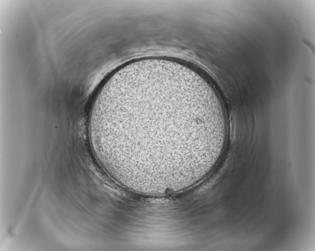 X0000102281501200808151915