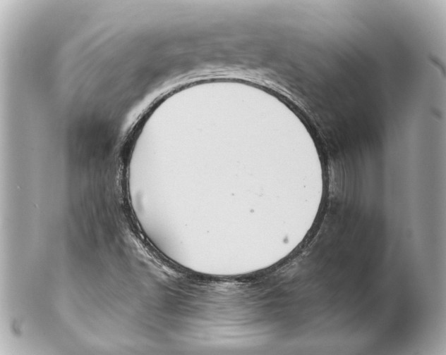 X0000102281502200808151915