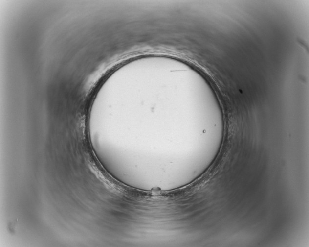 X0000102281503200808151915