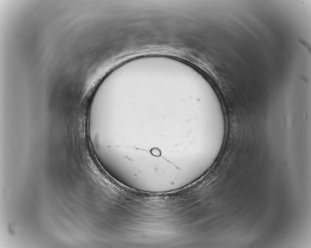 X0000102281504200808151915